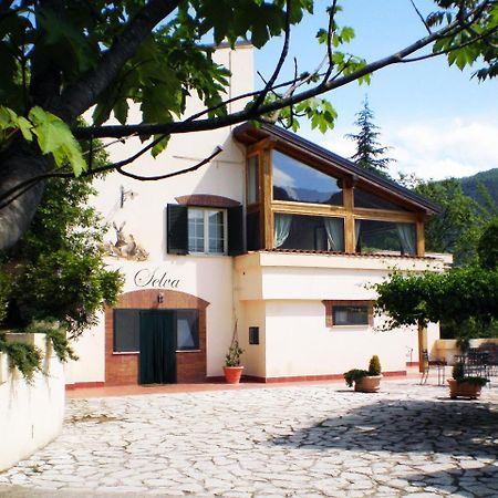 Agriturismo La Selva Rieti Eksteriør bilde